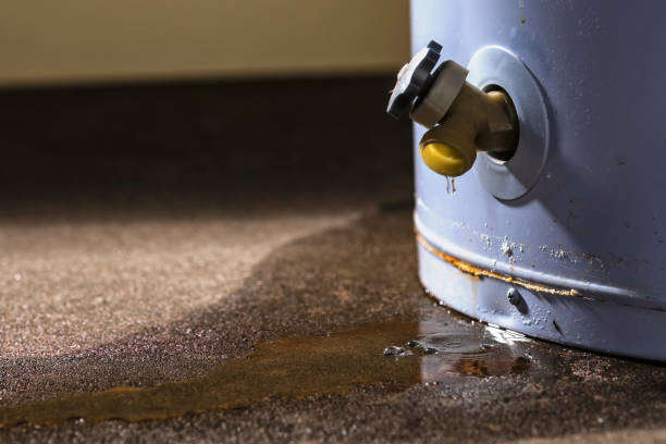 Best Professional water damage repair  in Plainview, NY