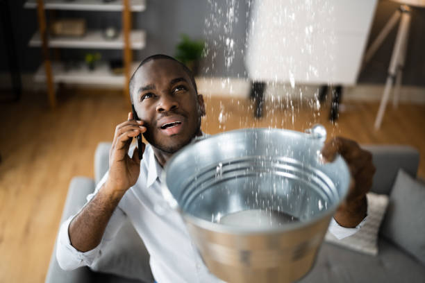 Best 24-hour water damage restoration  in Plainview, NY