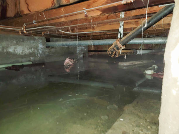 Best Residential water damage restoration  in Plainview, NY