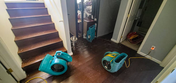 Best Residential water damage restoration  in Plainview, NY