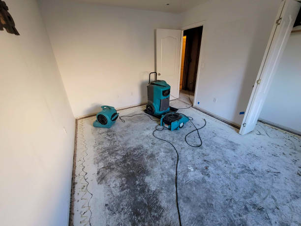 Best 24/7 water damage repair  in Plainview, NY