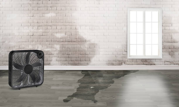 24/7 water damage repair in Plainview, NY