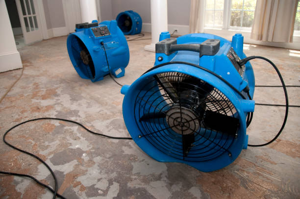 Best 24-hour water damage restoration  in Plainview, NY