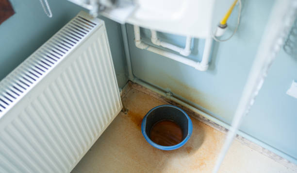 Best Water damage contractors near me  in Plainview, NY