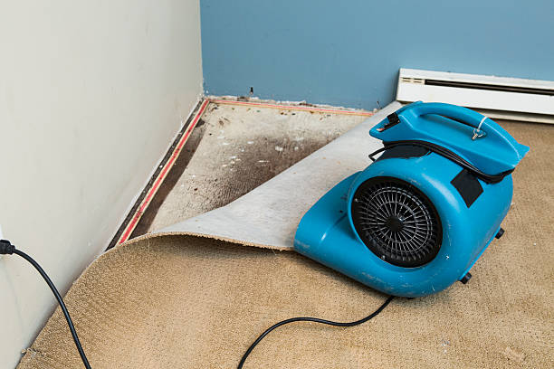 Best 24/7 water damage repair  in Plainview, NY